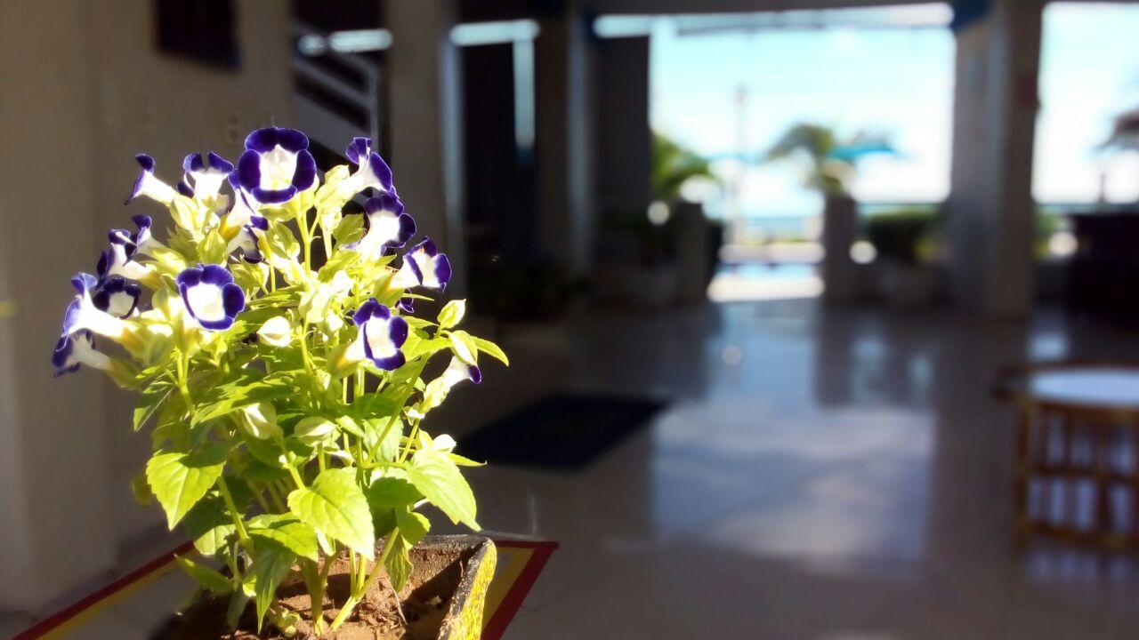Hotel Brisa Mar Flecheiras Exterior foto